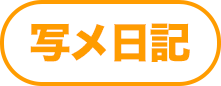写メ日記